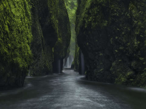 Jurassic journey