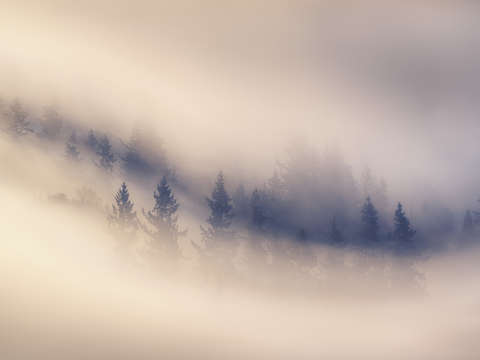 Eye of nature