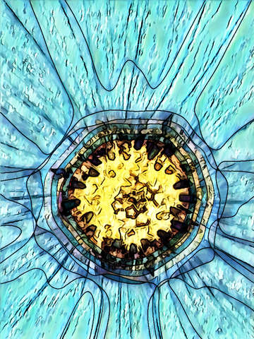 Center of a cosmos in blue