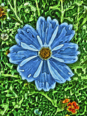 Cosmos topography blue