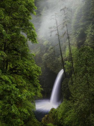 Land of the lost