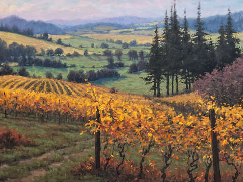 Vineyards rest