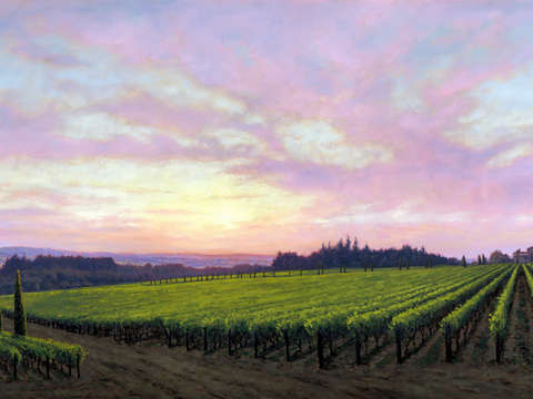 Terra e cielo