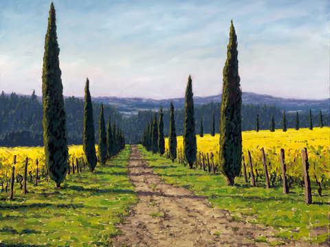 Alloro vineyard
