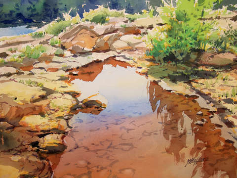 Creek reflection