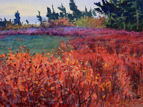 Blueberry farm