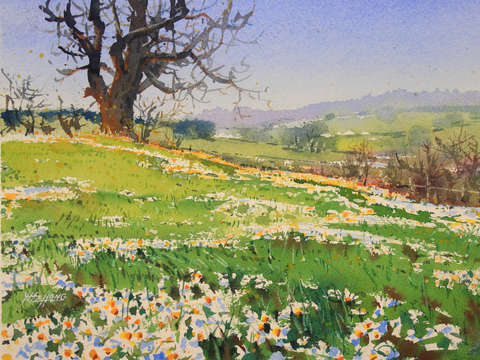 Spring has arrived