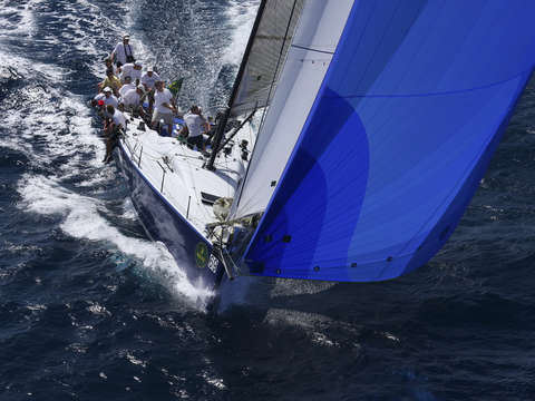 Big blue vela veloce