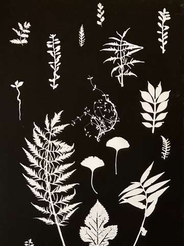 Botanical collage