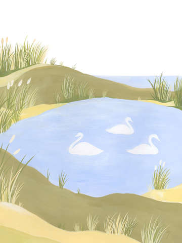 Swans 4