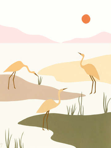 Marsh birds