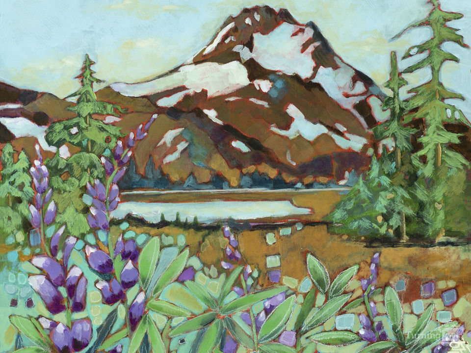 Mt jefferson and lupine