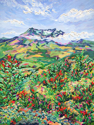 Indian paintbrush at mount st helens
