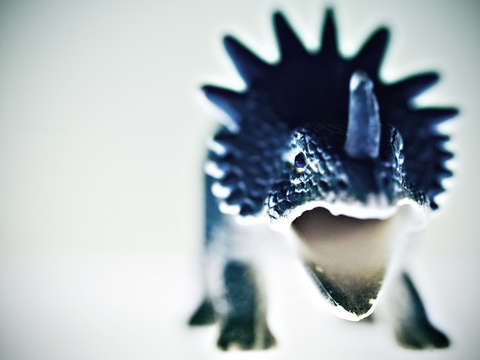 Toy dinosaur blue