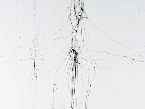 Untitled 446