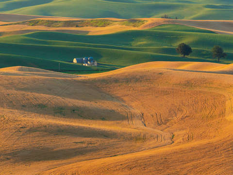 The palouse 2