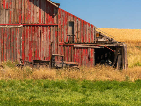 The palouse 4