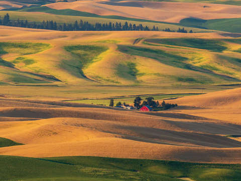 The palouse 6