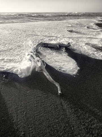 Lost coast surf 4
