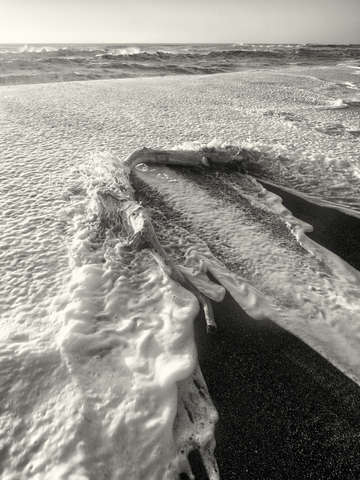 Lost coast surf 5
