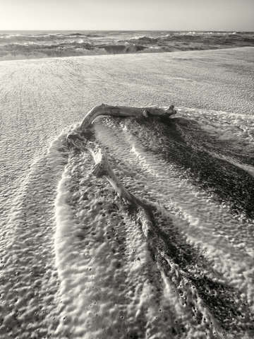 Lost coast surf 6