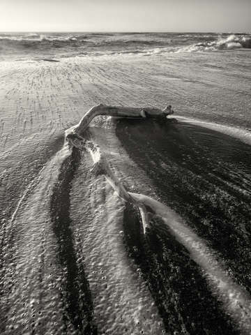 Lost coast 7