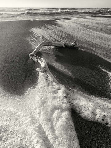 Lost coast surf 14