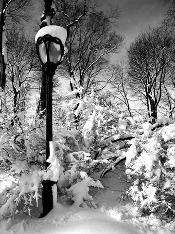 Lamp post and snow