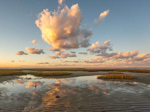 Brewster flats cape cod 9