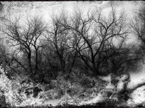 Winter-glass