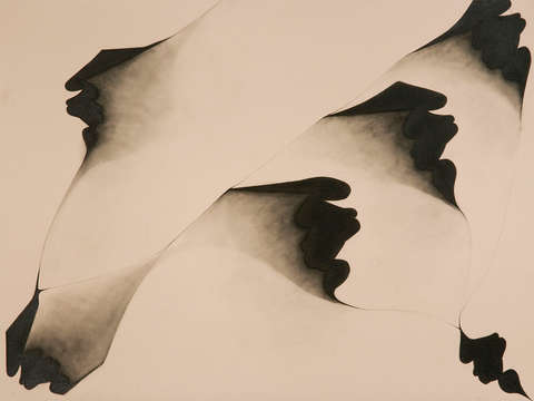 Untitled from stretch series