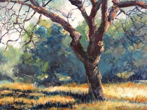 Malibu-canyon