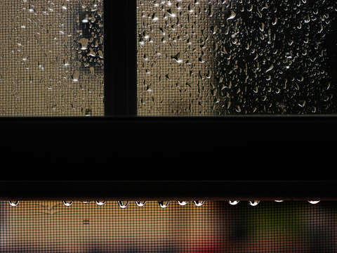 Rainy august morning