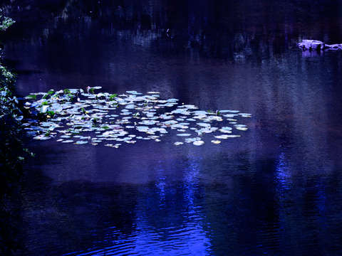 River 2