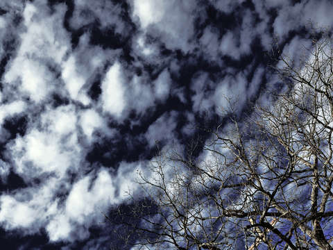 Sky 2