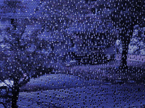 Violet rain