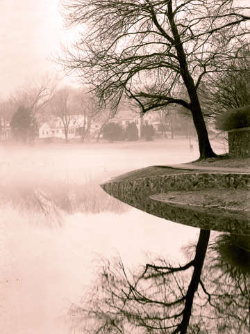Pond 2