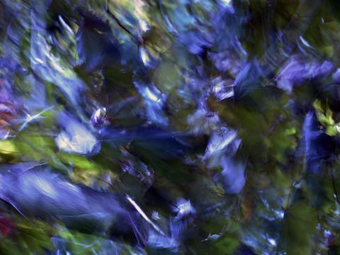 Summer wind