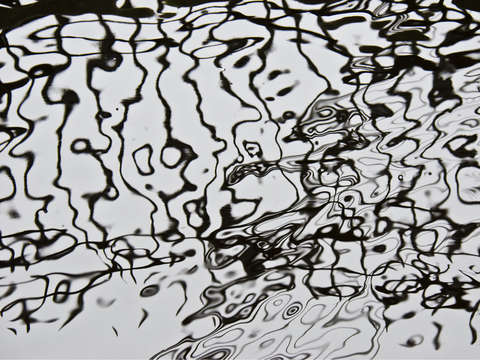 Waterline xxii