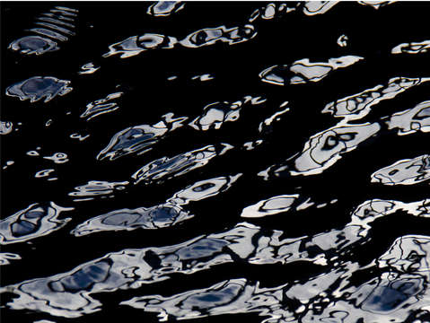 Waterline vi