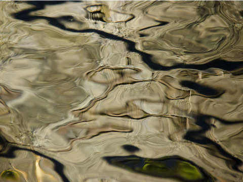 Waterline xiv