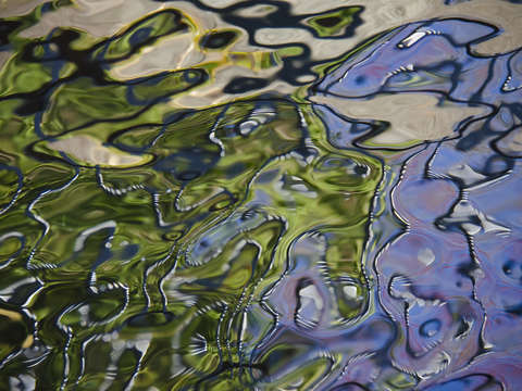 Waterline xvii