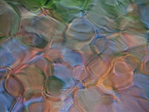 Waterline xix