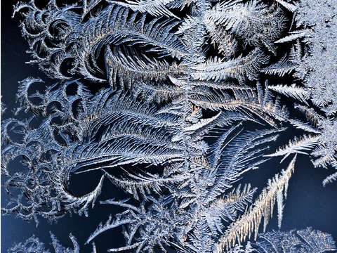 Window frost