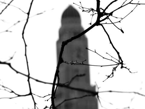 Four in fort greene