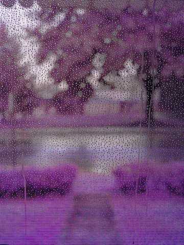 Violet street