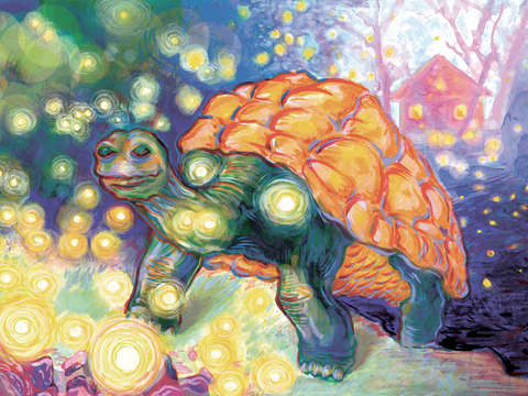 Tortoise