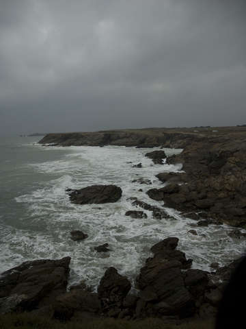 The savage coast