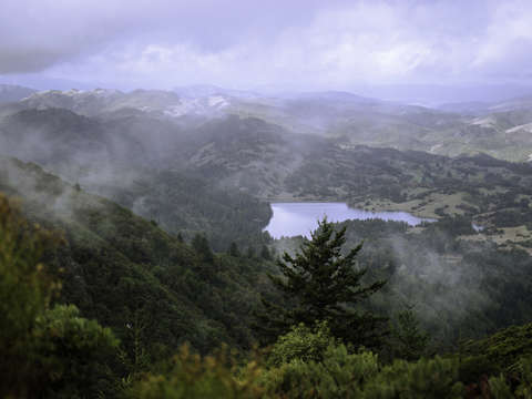 Mountain wilderness