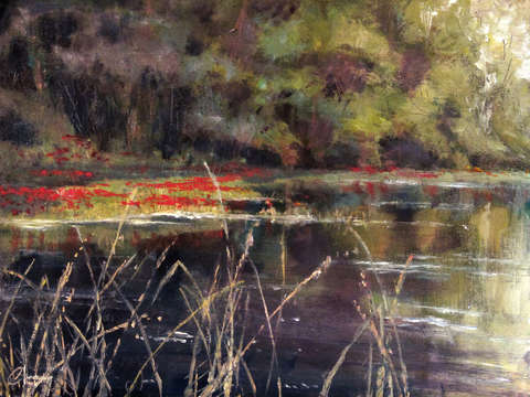 Across the creek